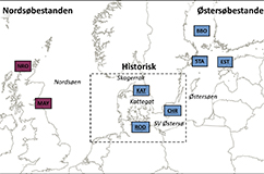 Kort over udbredelsen af de to gråsælspopulationer i Nordeuropa før udryddelsen omkring år 1900.