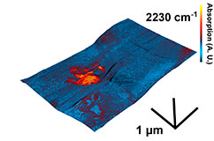 3D-billede som viser en del af en åben inklusion. Billedet viser de mikrometer store organiske rester (rød) fanget i ædelsten (blå). Foto: Tue Hassenkam.