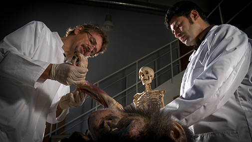 image of science communicators disecting an animal