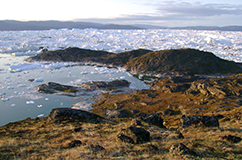 The ancient perma frozen settlement Qajaa located in the Illulisat icefjord, Disko bay, West Greenland. Copyright and credits: Maanasa Raghavan (maanasa.raghavan@gmail.com) Department of Zoology, University of Cambridge, Cambridge CB2 3EJ, UK.  