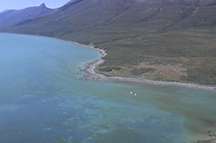 The large Norse churchfarm Sandnes (centre of photo) located at the head of the Ameralik fjord. Copyright and credits: Mikkel Winther Pedersen (mwpedersen@snm.ku.dk), Centre for GeoGenetics, Natural History Museum of Denmark, University of Copenhagen. 
