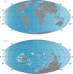 The configuration of the continents were markedly different during the Late Ordovician ice age than during the latest Quaternary ice age. This was one of the main reasons why climate sensitive species were more likely to go extinct during the Late Ordovician ice age than during the Quaternary ice age.