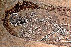Detail of one of the burials from Sunghir, in Russia. The new study sequenced the genomes of individuals from the site and discovered that they were, at most, second cousins, indicating that they had developed sexual partnerships beyond their immediate social and family group.