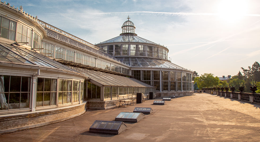Picture of The Palm House Terrace