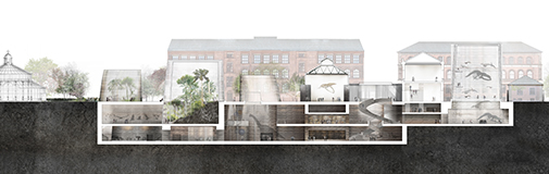 Cross section of the new museum. The many exhibitions are below the surface.