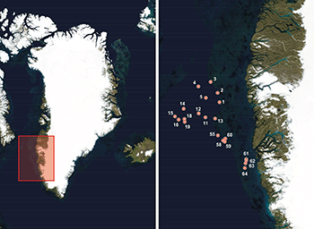 Oversigtskort over det undersøgte område i Sydvestgrønland (tv). Detaljeret kort over prøvelokaliteter (th). (Kort: NASA).