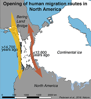 Kort der viser åbningen af de nordamerikanske migrationsruter, som det bliver beskrevet i artiklen i Nature.