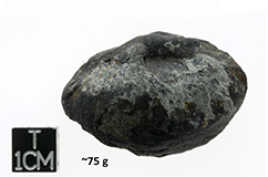 Dueodde-meteoritten. Foto: Statens Naturhistoriske Museu,. 