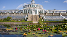 The Palm House in the Botanica Garden