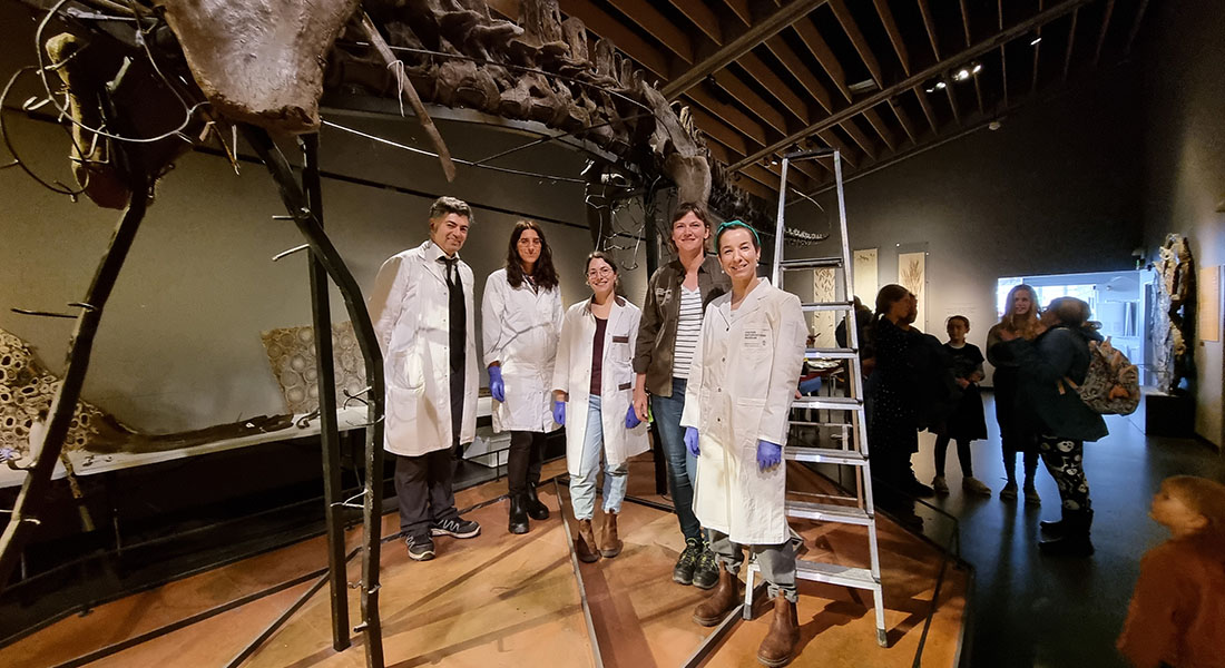 Five conservators standing in front of a dinosaur