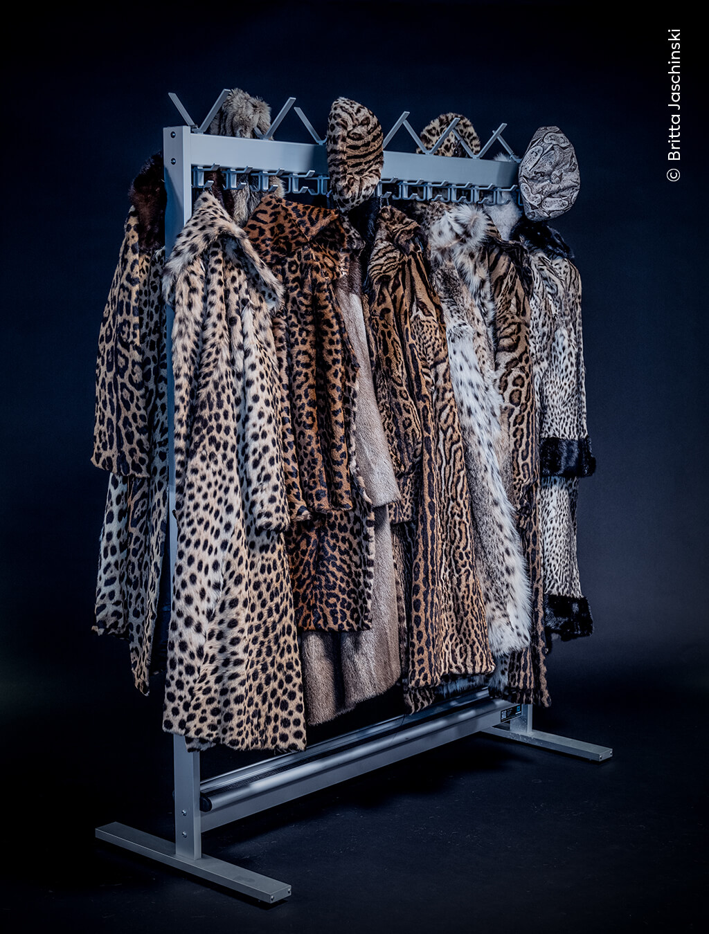 Confiscated coats, made from the skins of some of the most endangered big cats, are held by customs officers from across Europe.
