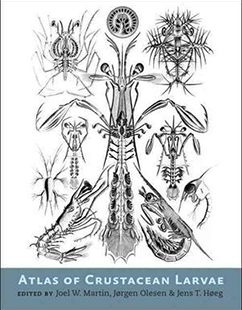New book: Atlas of Crustacean Larvae