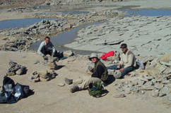 The fossils were systematically collected through 150 limestone and marl beds.Photo: David Harper.