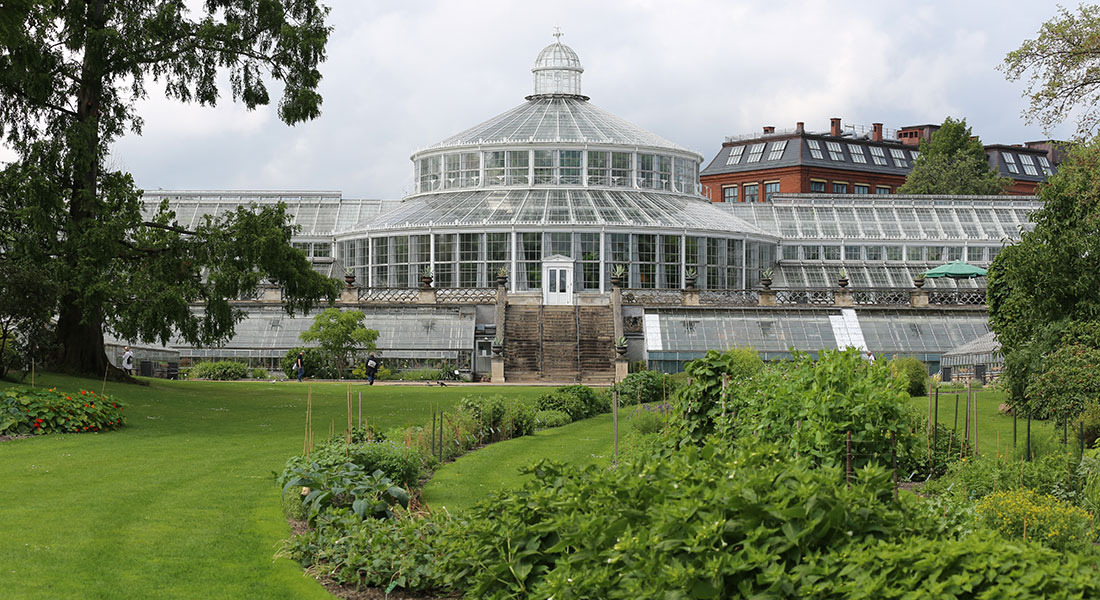 Picture of the botanical garden