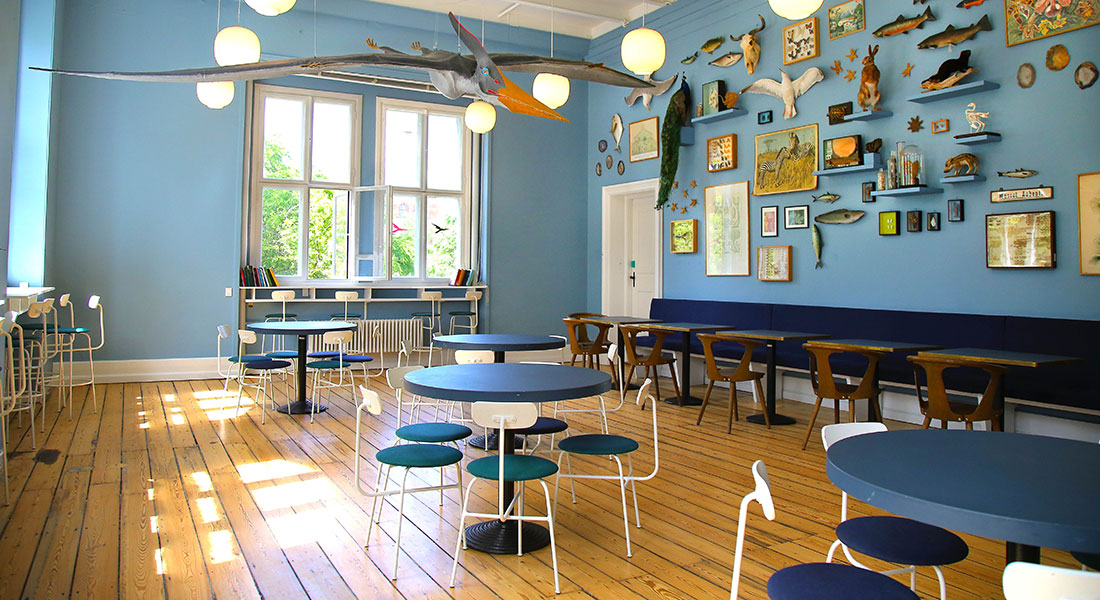 Picture of the Museum Café