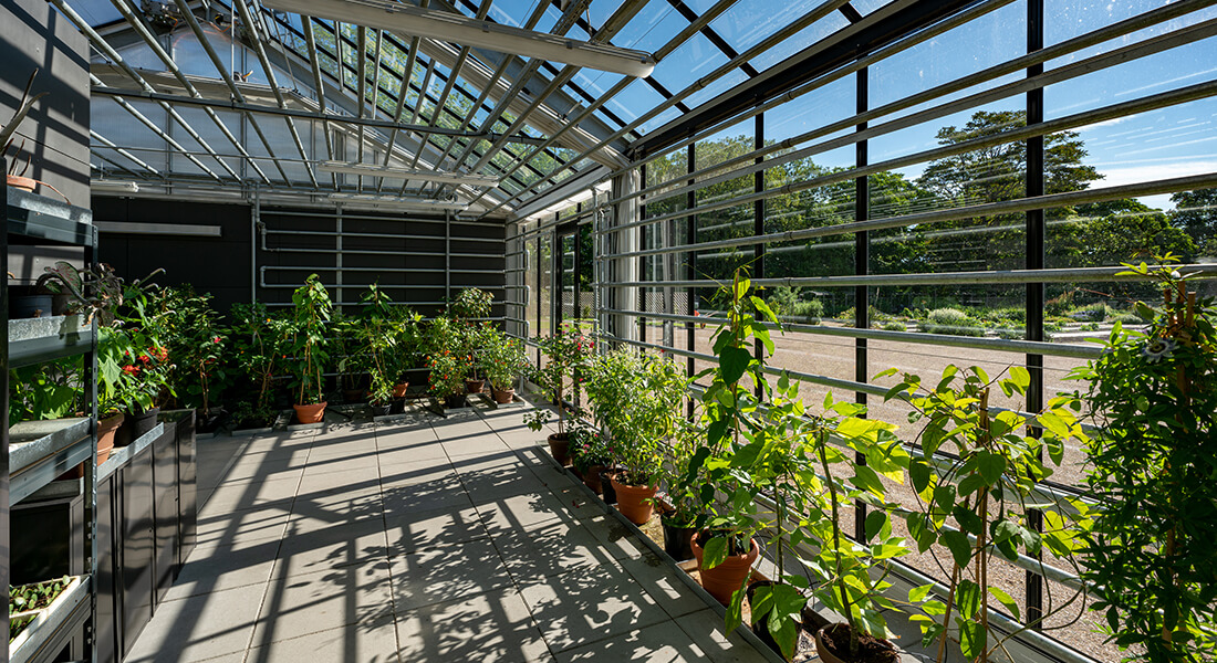 Picture of the Greenhouse