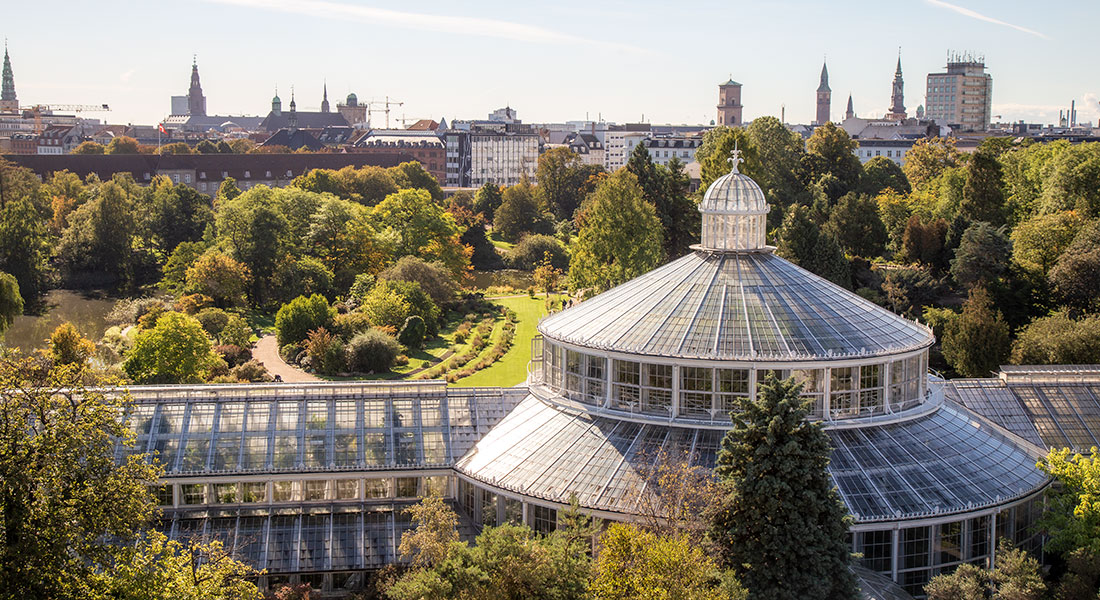 Picture of The Palm House Terrace
