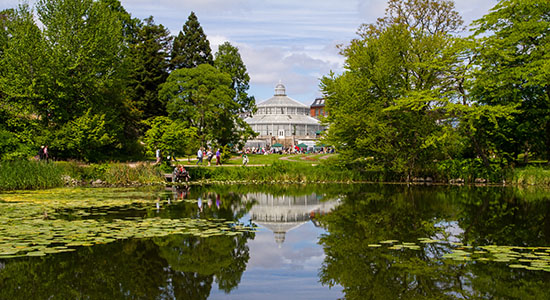 Picture of the Palm house