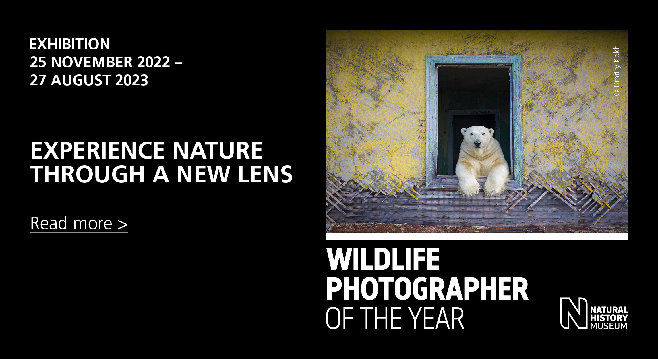 Wildlife Photographer of the Year - Dmitry Kokh