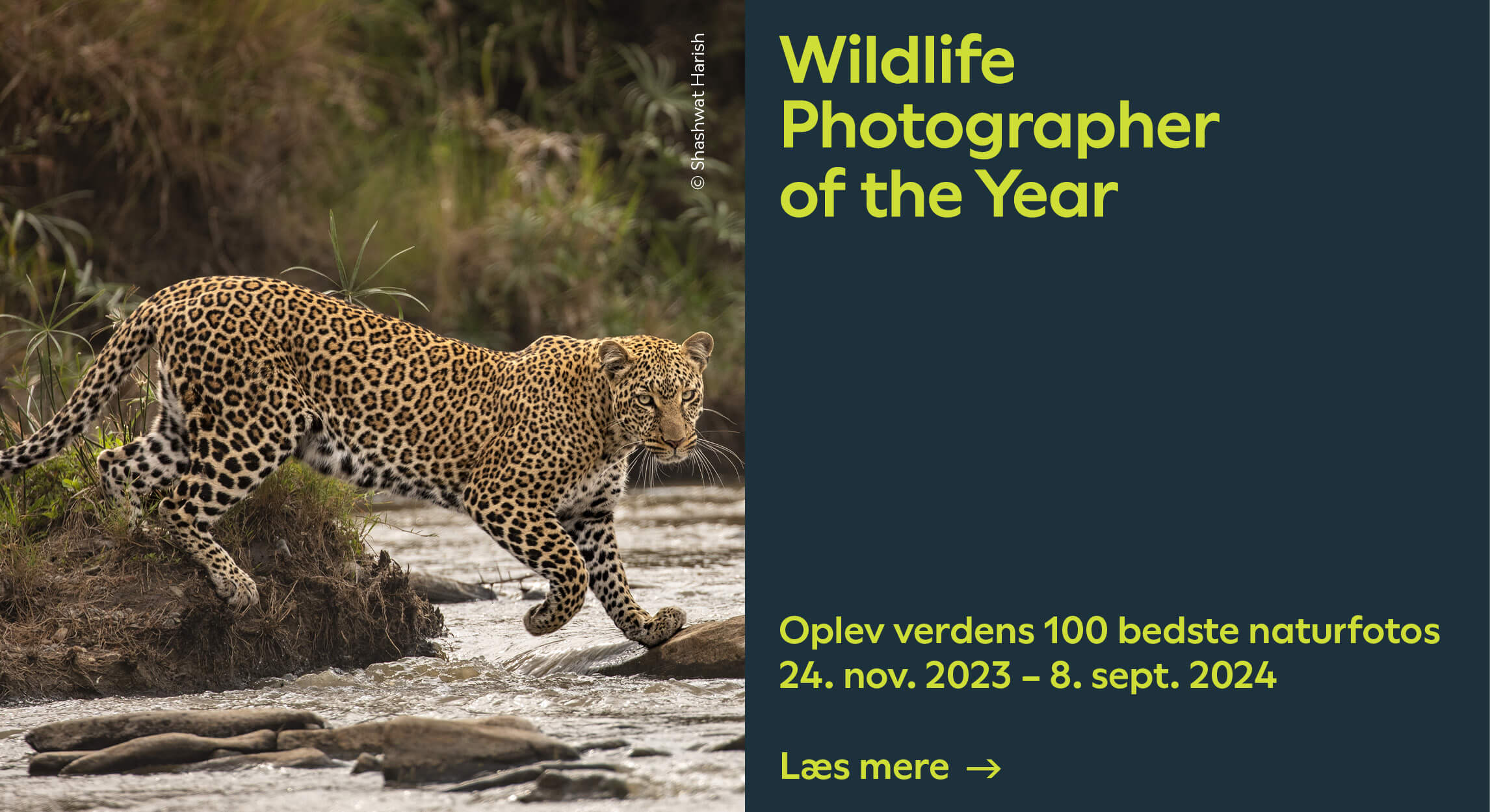 Se mere om udstillingen 'Wildlife Photographer of the Year'