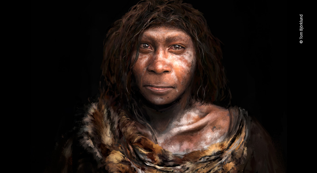 Neandertaler illustration