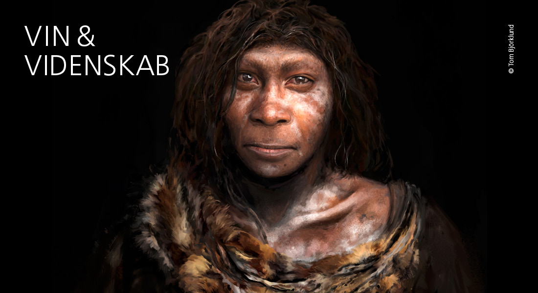 Neandertaler af Tom Björklund