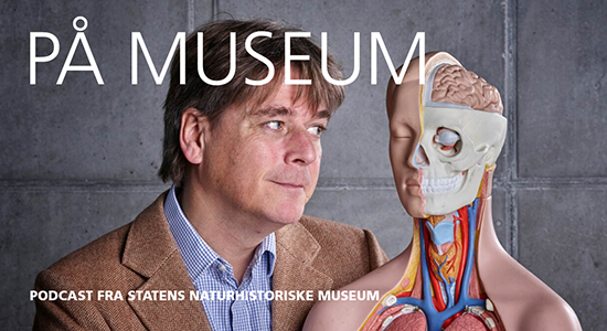 Link til podcast om hjernekassen på p1 om museet