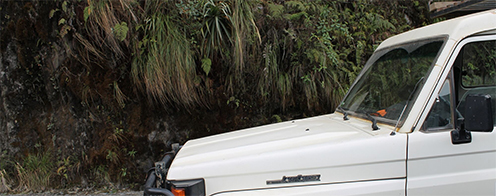 billede af bil i junglen