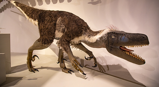 Billede af dinosaur fra udstillingen evolution
