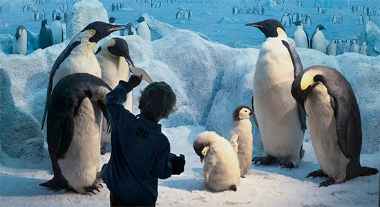 Billede af pingviner fra udstillingen fra pol til pol