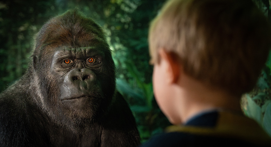 Dreng med gorilla i udstillingen Aber. Fotograf Frederik Wolff