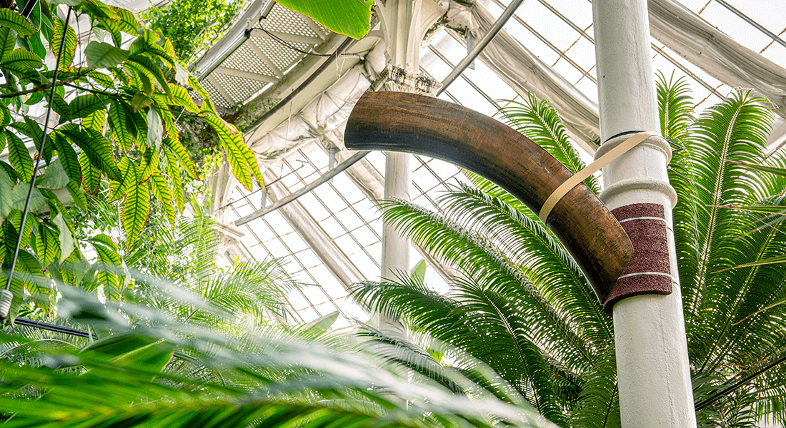 Image of the art in the Palm House