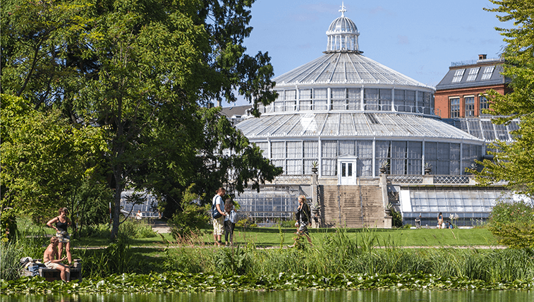 Image of the Palm House