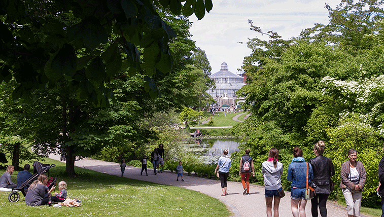 Image of the Palm House
